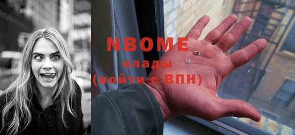 индика Мегион