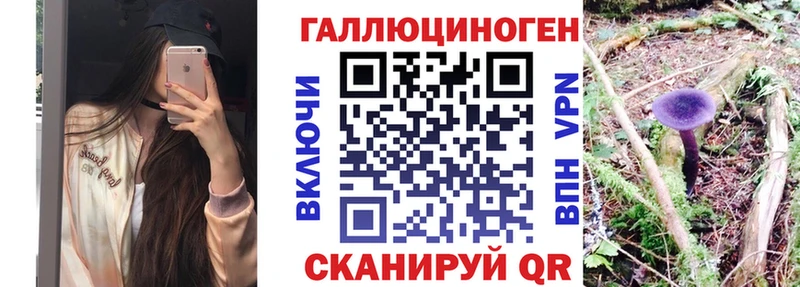 Галлюциногенные грибы Psilocybe  Южноуральск 