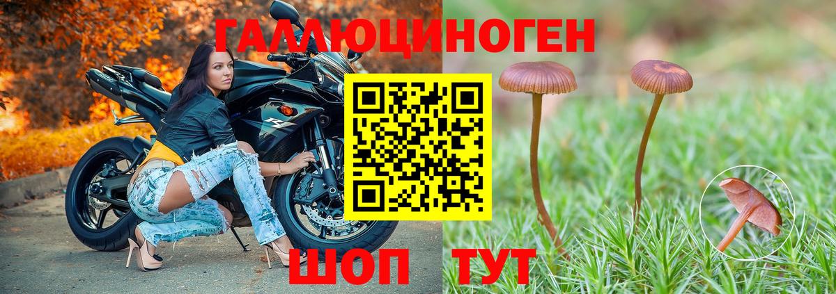 Галлюциногенные грибы Psilocybe  Вход с VPN  сколько стоит  Южноуральск  Псилоцибиновые грибы прущие грибы 